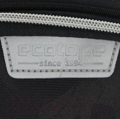 Школьный рюкзак Ecotope Kids Венсдей / 057-22003/1-19-BLK (черный)