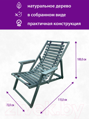 Кресло-шезлонг складное БСМ БСМ0054.04