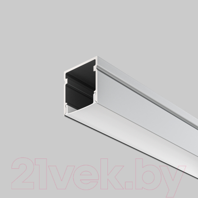 Профиль для светодиодной ленты Maytoni ALM-2020-S-2M (серебро)