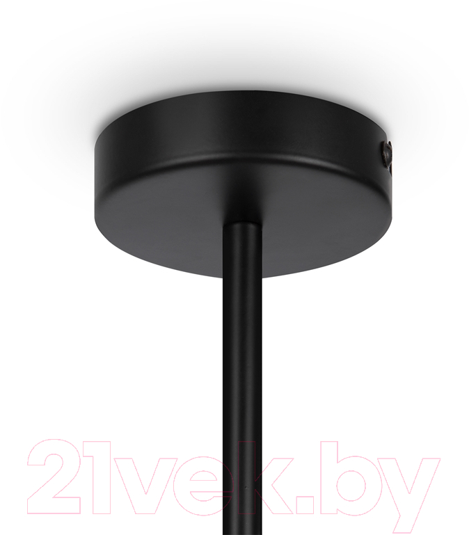 Люстра Maytoni Memory MOD177PL-04B — фото 5