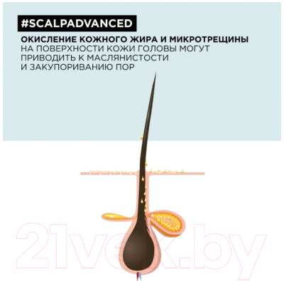 Шампунь для волос L'Oreal Professionnel Serie Expert Scalp Advanced Склонных к жирности (500мл)
