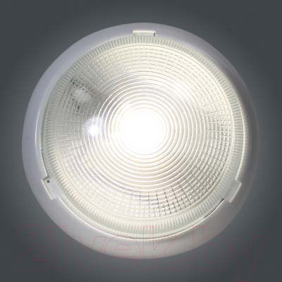 Светильник для подсобных помещений Элетех Раунд 240 НБО 23-100-001 / 1005500576 (белый)