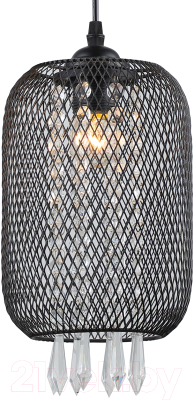 Потолочный светильник ESCADA 1125/1S (черный)