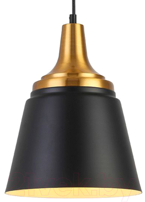 Потолочный светильник ESCADA 1100/1S (черный)