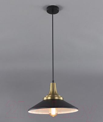 Потолочный светильник ESCADA 1101/1S (черный)