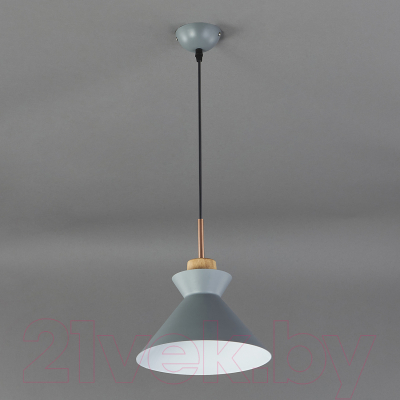 Потолочный светильник ESCADA 1106/1S (серый)