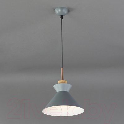 Потолочный светильник ESCADA 1106/1S (серый)
