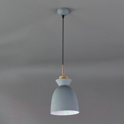 Потолочный светильник ESCADA 1107/1S (серый)