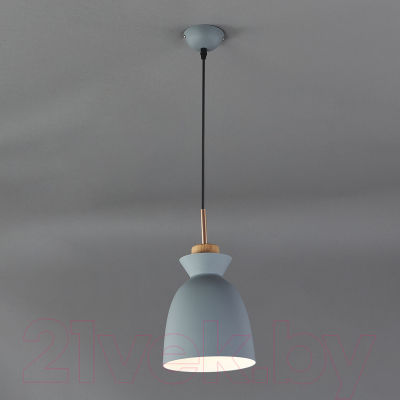 Потолочный светильник ESCADA 1107/1S (серый)
