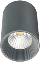 Потолочный светильник ESCADA 20003SMU/01LED SGY (серый матовый) - 