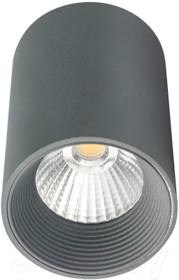 Потолочный светильник ESCADA 20003SMU/01LED SGY (серый матовый)