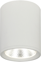 Потолочный светильник ESCADA 20003SMU/02LED SWH (белый матовый) - 