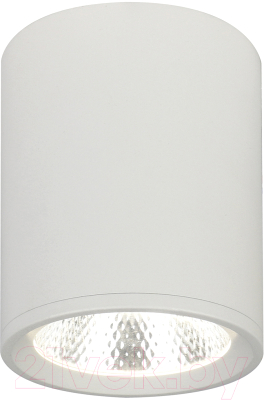 Потолочный светильник ESCADA 20003SMU/02LED SWH (белый матовый)