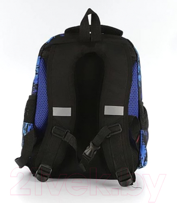 Школьный рюкзак Ecotope 306-62205-NCL (синий)