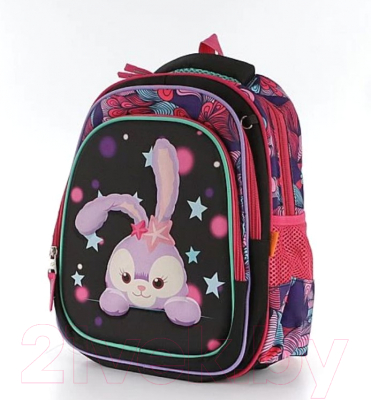 Школьный рюкзак Ecotope 306-62207-BCL (черный)