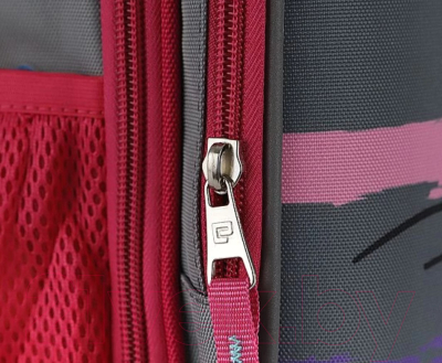 Школьный рюкзак Ecotope 306-62217-GCL (серый)