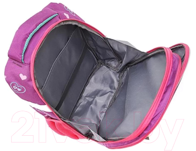 Школьный рюкзак Ecotope 306-62217-VCL (фиолетовый)