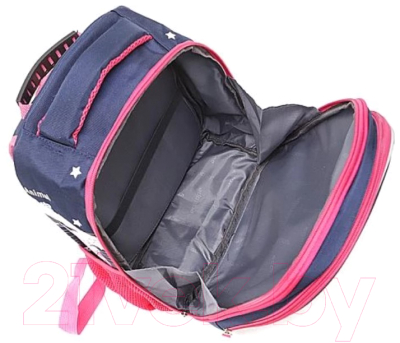 Школьный рюкзак Ecotope 306-7210-NCL (синий)