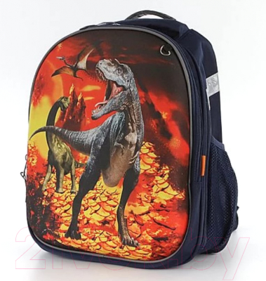 Школьный рюкзак Ecotope 306-7216-DCL (Dark Color)