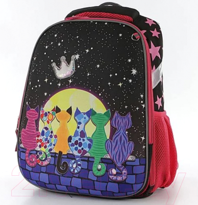 Школьный рюкзак Ecotope 306-8051-DCL (Dark Color)