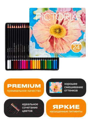 Набор цветных карандашей Pictoria Botanica CPS24B (24шт)