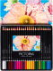 Набор цветных карандашей Pictoria Botanica CPS24B (24шт) - 