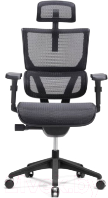 Кресло офисное Ergostyle Vision T-01 / VIM01 (черный)