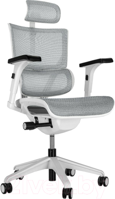 Кресло офисное Ergostyle Vision White T-06 / VIM01-W (белый)