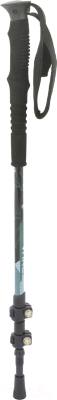 Трекинговые палки Ternua Katul Bleached Fir 2640032-6266