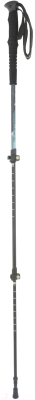 Трекинговые палки Ternua Katul Bleached Fir 2640032-6266