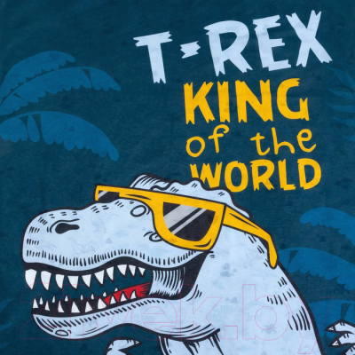 Комплект постельного белья Этель T-Rex king 1.5 / 4702792