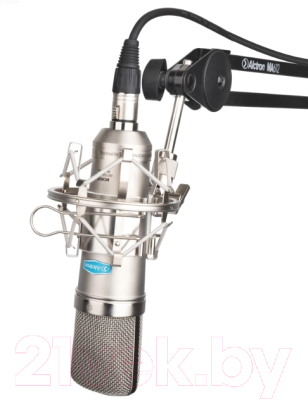 Изображение товара Микрофон Alctron MC002S