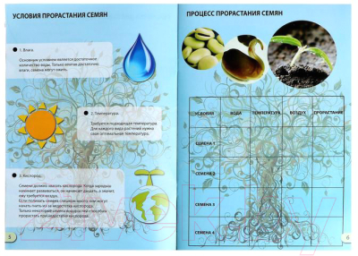 Набор для выращивания растений Эврики Наука о растениях / 5066413