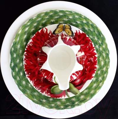 Тарелка столовая обеденная Taitu Cactus 5-5-1