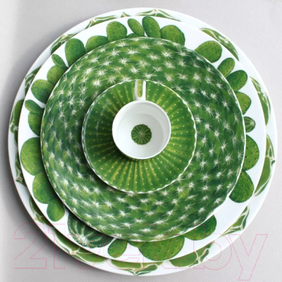 Тарелка столовая обеденная Taitu Cactus 5-5-1