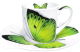 Чашка с блюдцем Taitu Freedom Butterfly 1-891-B (зеленый) - 