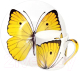Чашка с блюдцем Taitu Freedom Butterfly 1-891-A (желтый) - 