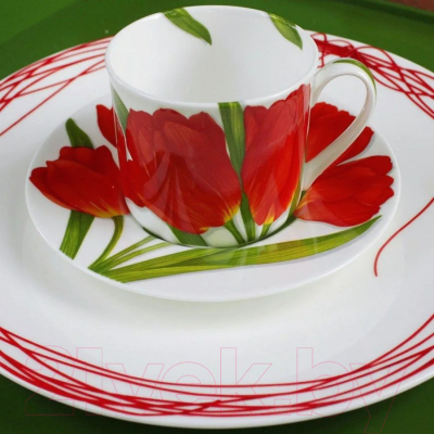 Чашка с блюдцем Taitu Freedom Flower 1-82-C (красный)