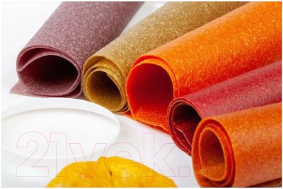 Изображение товара Комплект лотков для электросушилки Сам Себе Шеф 2044