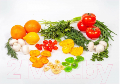 Изображение товара Комплект лотков для электросушилки Сам Себе Шеф 2044