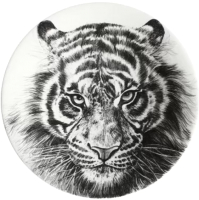 Тарелка столовая обеденная Taitu Wild Spirit Tiger 12-1-1-C - 