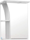 Шкаф с зеркалом для ванной Style Line Виола 500 (с подсветкой) - 