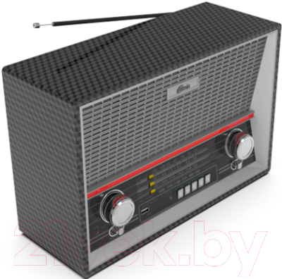 Радиоприемник Ritmix RPR-102 (черный)