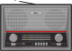 Миниатюра изображения товара Радиоприемник Ritmix RPR-102 (черный)