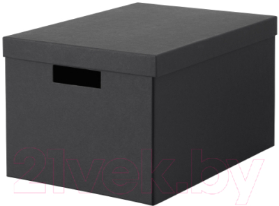 Коробка для хранения Ikea Тьена 103.954.83