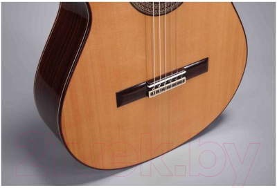 Акустическая гитара Altamira N300+