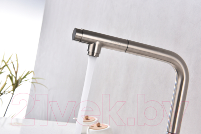 Изображение товара Смеситель Paulmark Viper Vi213105-NI (никель)