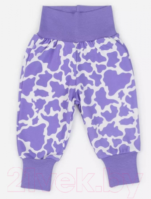 Комплект одежды для малышей Rant Milk-Aholic со штанишками / 2-81 (Violet, р.62)