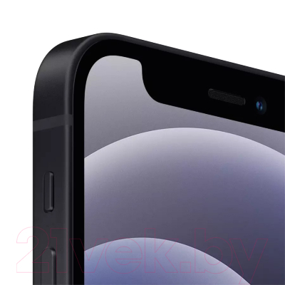 Смартфон Apple iPhone 12 mini 64GB / 2AMGDX3 восстановленный Breezy Грейд A (черный)