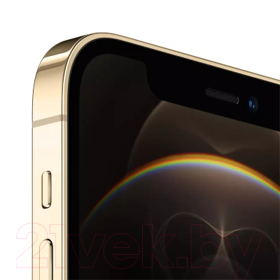 Смартфон Apple iPhone 12 Pro 512GB / 2AMGMW3 восстановленный Breezy Грейд A (золото)